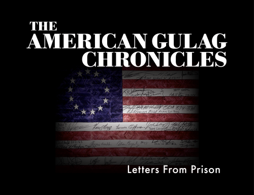 AMERICAN GULAG CHRONICLES 1ST ORDER ON THE WAY!